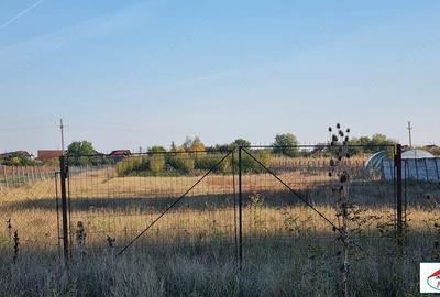 Teren de 5000 mp, în Sătmărel