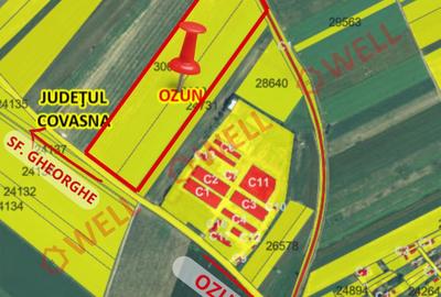 Teren agricol intravilan de 51400 mp, în Ozun - 2