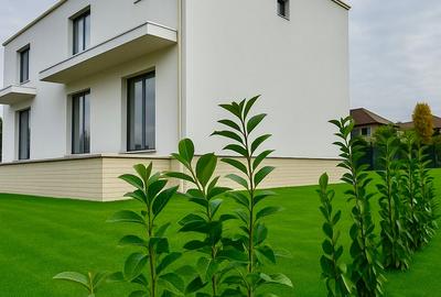 Duplex cu 4 camere cu Canalizare în Dealuri Oradea - 5