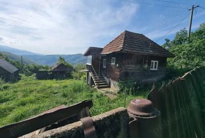 Casă cu 2 camere în Bănița - 4