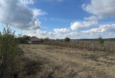 Teren de 1200 mp, în Cazaci