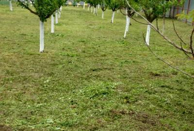 Casă cu Teren 2350 Mp în Jiana - 9