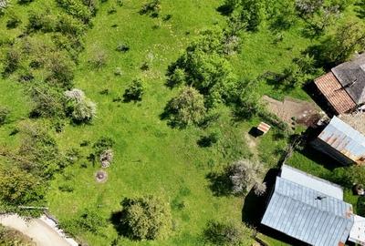 Casă individuală cu 4 camere cu Teren 1991 Mp în Valea Bradului - 8
