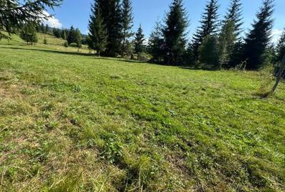 Teren agricol intravilan de 22000 mp, în Plaiu Șarului - 12