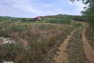 Teren de 2200 mp, în Ghioroc - 2