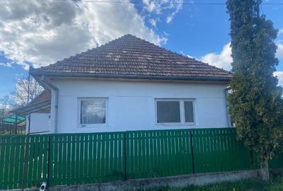 Casă individuală cu 3 camere cu Teren 3800 Mp în Glodeni - 2