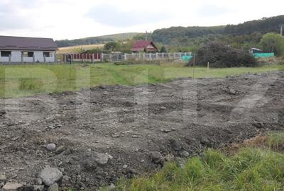 Teren Construcții extravilan de 900 mp, în Livezeni