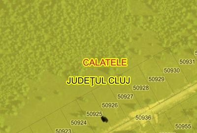 Teren de 1000 mp, în Beliș - 3