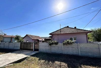 Casă cu Teren 3000 Mp în Arginești - 1