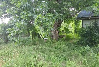 Teren de 5500 mp, în Vernești - 9