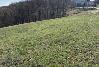 Teren de 2000 mp, în Ponoarele - 2