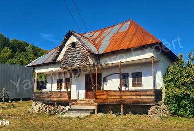Casă cu 2 camere în Bradu
