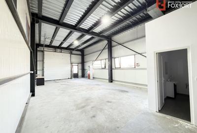 Spațiu industrial, de 100 mp, în Săcălaz - 3
