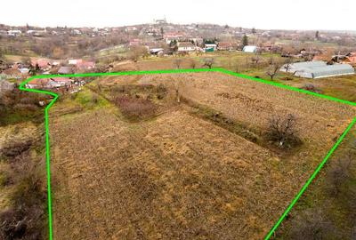 Casă individuală cu 4 camere cu Teren 9168 Mp în Șișterea - 17