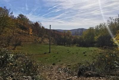 Teren Construcții intravilan de 2500 mp, în Predeal-Sărari - 2
