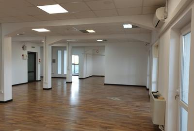 Birou, de 1,292.0999755859 mp, în B-dul București - 17