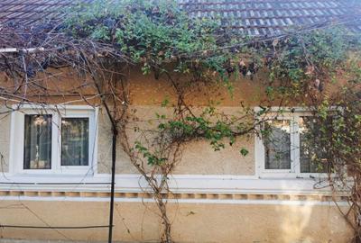 Casă cu 4 camere în Valea Mare-Pravăț - 5