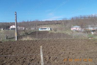Teren de 3000 mp, în Odaia Manolache - 2