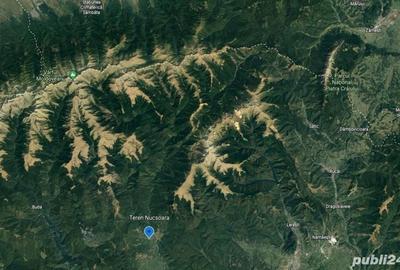 Teren de 5050 mp, în Nucșoara - 9