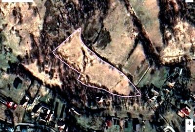 Teren extravilan de 11000 mp, în Bistra Mureșului - 1