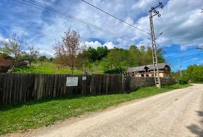Teren de 9500 mp, în Livezi - 3