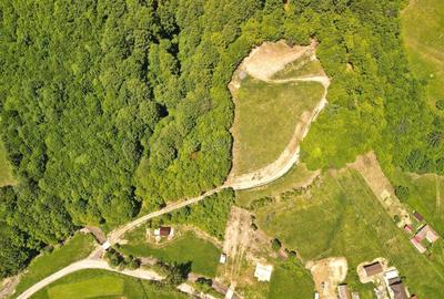 Teren Construcții extravilan de 16000 mp, în Poiana Mărului - 12