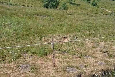 Teren de 8000 mp, în Arieșeni - 1