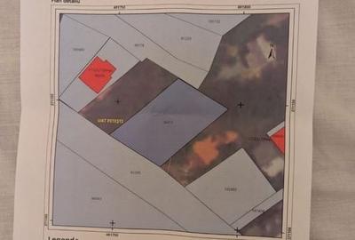 Teren de 850 mp, în Craiovei - 4