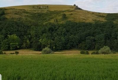 Teren Construcții intravilan de 900 mp, în Luna de Sus - 2