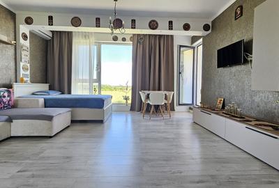 Apartament cu 2 camere, mobilat în Tunari - 1
