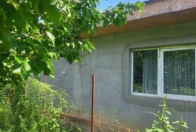 Casă cu 3 camere în Petrăchioaia