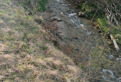 Spațiu comercial, în Central - 1
