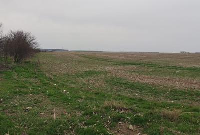 Teren Construcții intravilan de 5000 mp, în Tânganu - 2