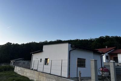 Casă cu 3 camere în Central - 1