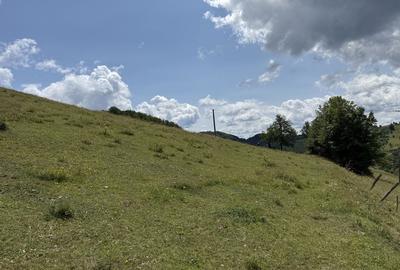 Teren de 5140 mp, în Nicorești - 2