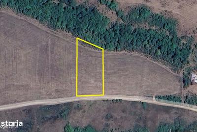 Teren de 2500 mp, în Central