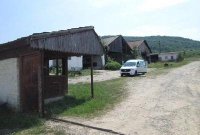 Teren de 12580 mp, în Șopotu Vechi