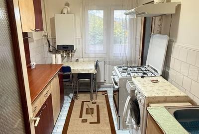 Garsonieră decomandată în Petros - 9