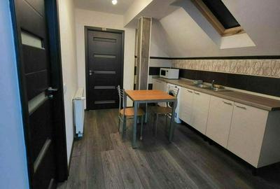 Apartament cu 2 camere decomandat în Noua - 14