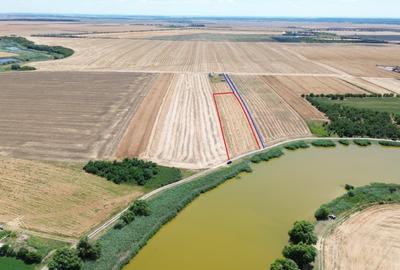 Teren Construcții extravilan de 6500 mp, în Frumușani - 6