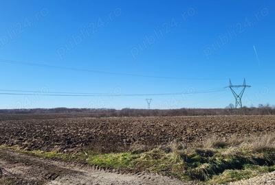 Teren de 10614 mp, în Mareș - 5
