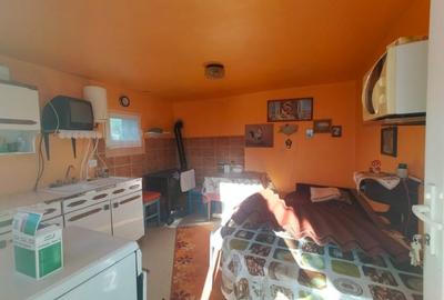 Casă individuală cu 2 camere cu Teren 2980 Mp în Panticeu - 14
