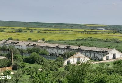 Teren de 84179 mp, în Izvoru - 7