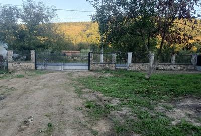 Casă cu 2 camere cu Teren 1142 Mp în Milova - 2