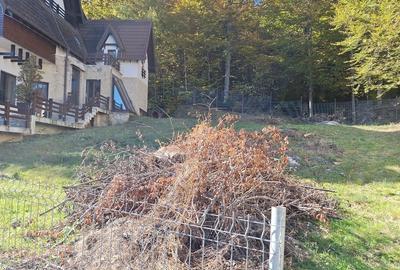 Teren Construcții intravilan de 532 mp, în Furnica - 5