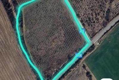 Teren de 22000 mp, în Seciu - 5