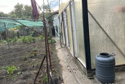Casă cu 6 camere cu Teren 10000 Mp în Mehala