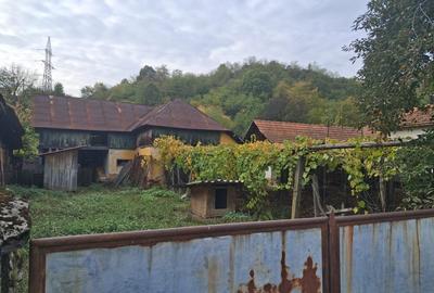 Casă individuală cu 4 camere cu Teren 3116 Mp în Boroșteni - 10