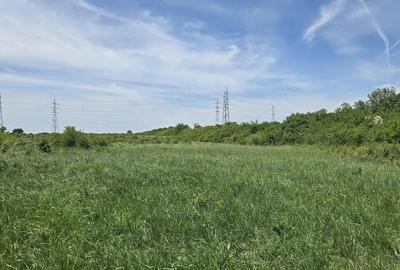 Teren de 10000 mp, în Ronaț - 2