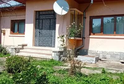 Casă cu 3 camere cu Teren 3200 Mp în Mislea